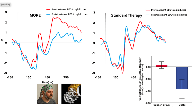 Craving Responses Chart